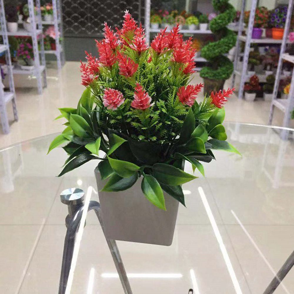 وعاء نبات الزهور الاصطناعية يح - مراجعة Bonsai Garden Sushi وسعره