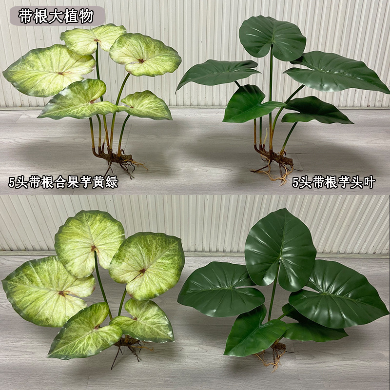الاصطناعي زهرة النباتات وهمية  - مراجعة Bonsai Garden Sushi وسعره
