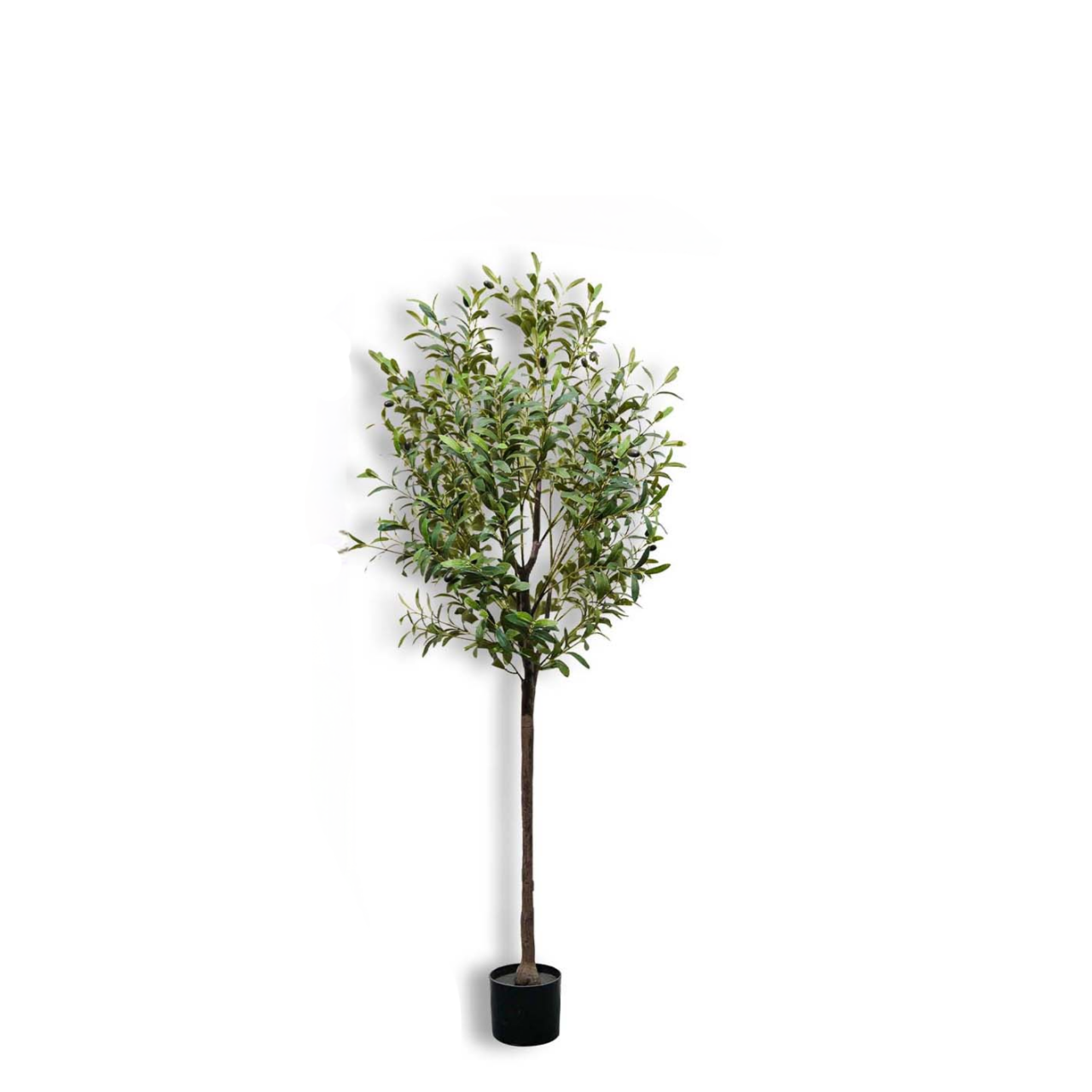 شجرة زيتون اصطناعية بطول 150 س - مراجعة Bonsai Garden Sushi وسعره
